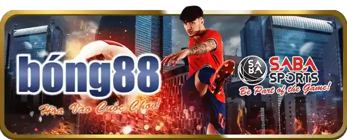 Giải thưởng Nền tảng thể thao tốt nhất